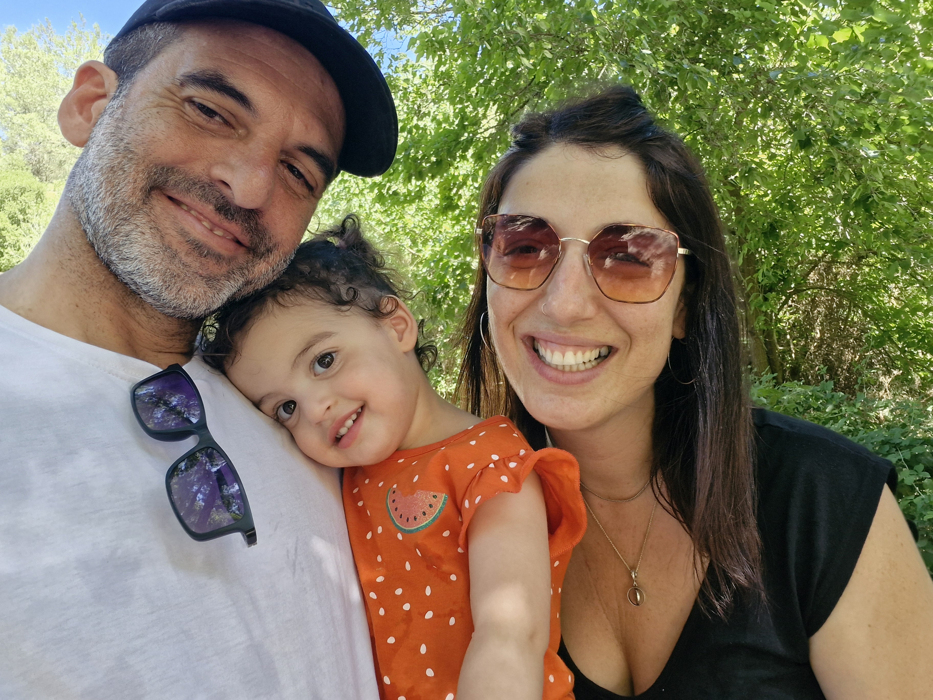 עמית צרפתי - מחבר הספר